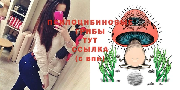 mdpv Новозыбков