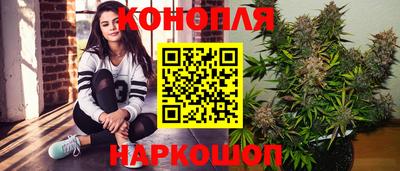 гидра Дубна