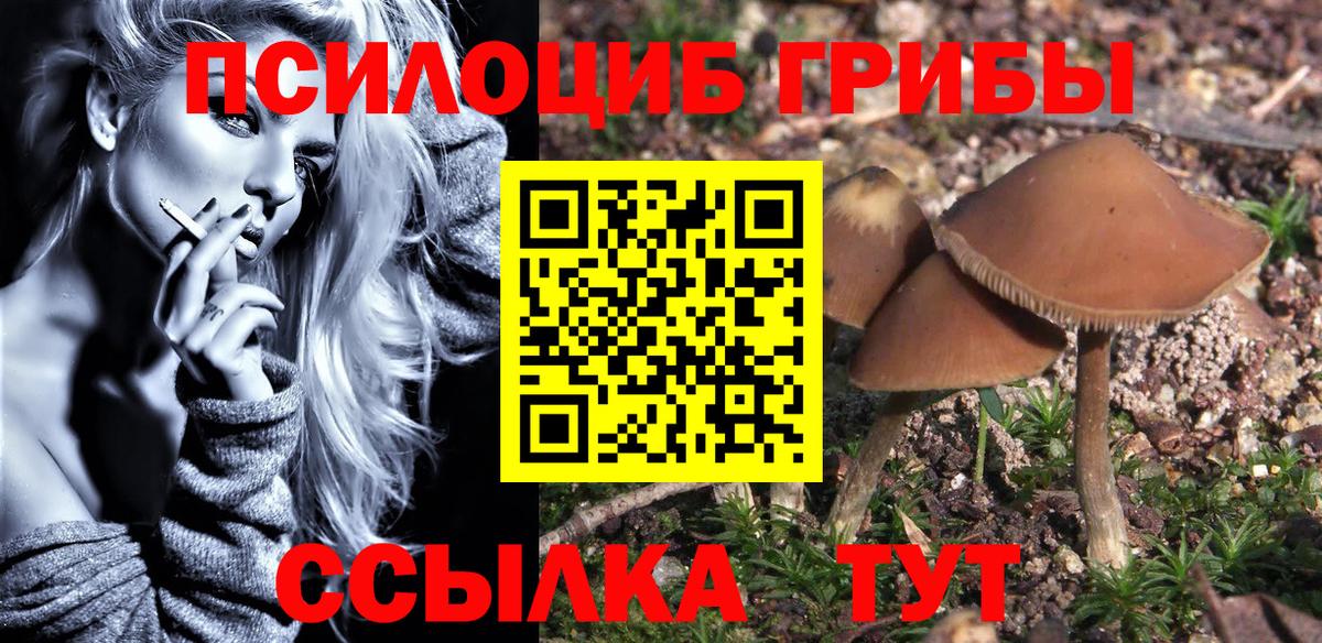 Псилоцибиновые грибы Psilocybine cubensis  Прохладный 
