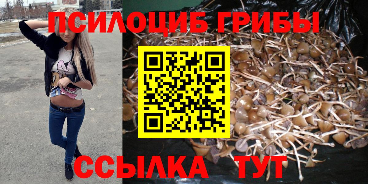 Псилоцибиновые грибы прущие грибы  Вход с VPN  Прохладный  Галлюциногенные грибы ЛСД 